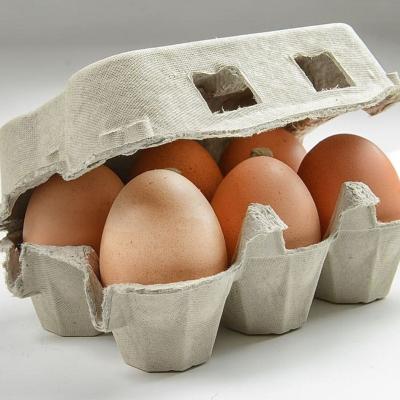 Eggs